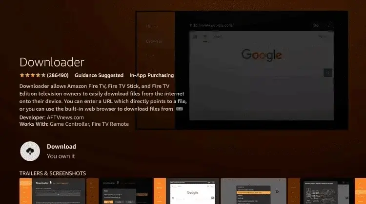 Download button highlighted